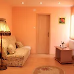Andronic 3* Тимишоара