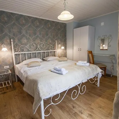 Guest house Andronic 3*