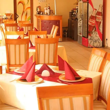 Guest house Andronic
