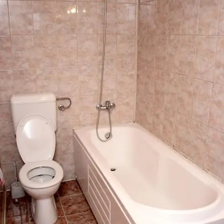 Guest house Andronic