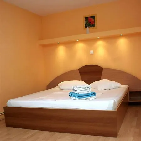 Guest house Andronic 3*