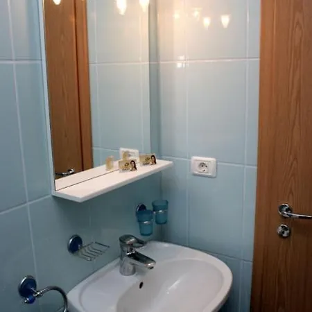 Guest house Andronic Timisoara