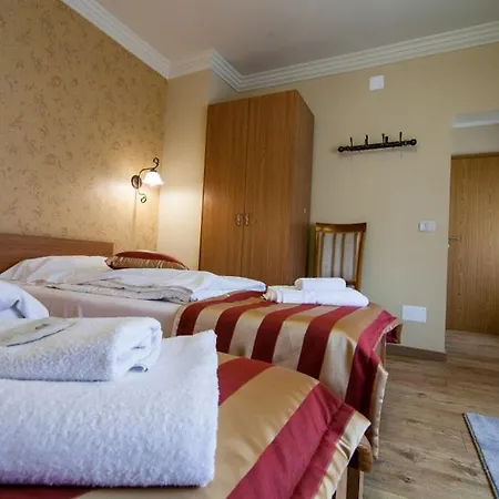 Pensiune Andronic Timişoara