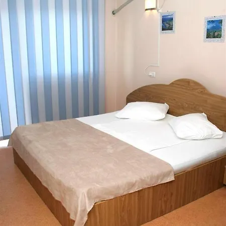 Pensiune Andronic Timişoara