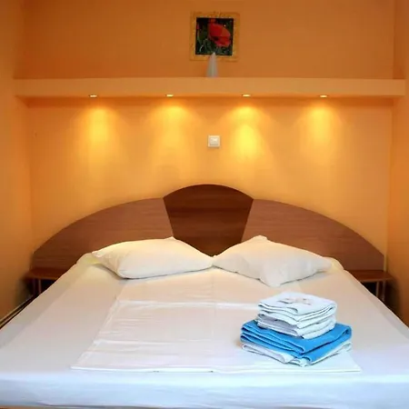 Andronic Pensiune Timişoara