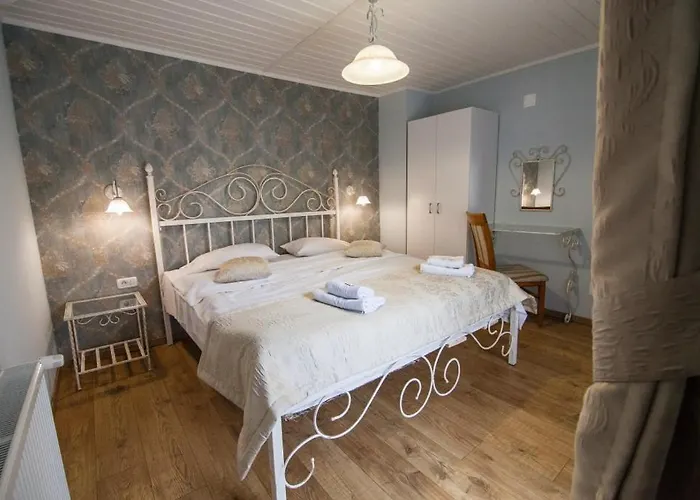 בית הארחה Andronic 3*