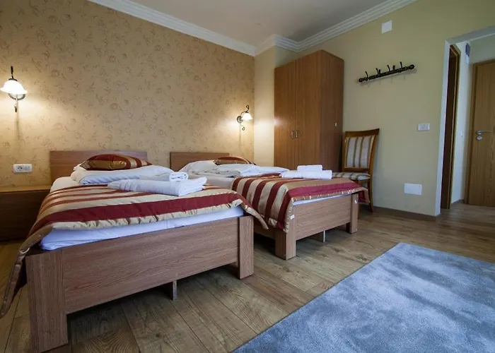 Andronic 3* טימישוארה