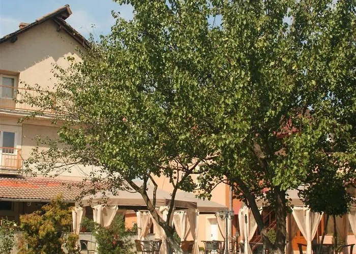 Andronic טימישוארה