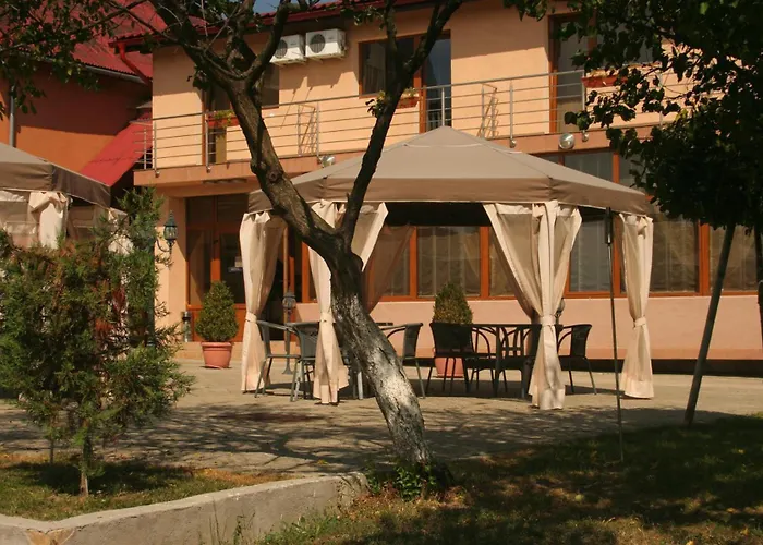 Andronic טימישוארה