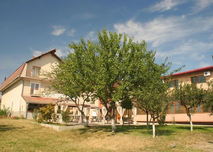 Andronic טימישוארה