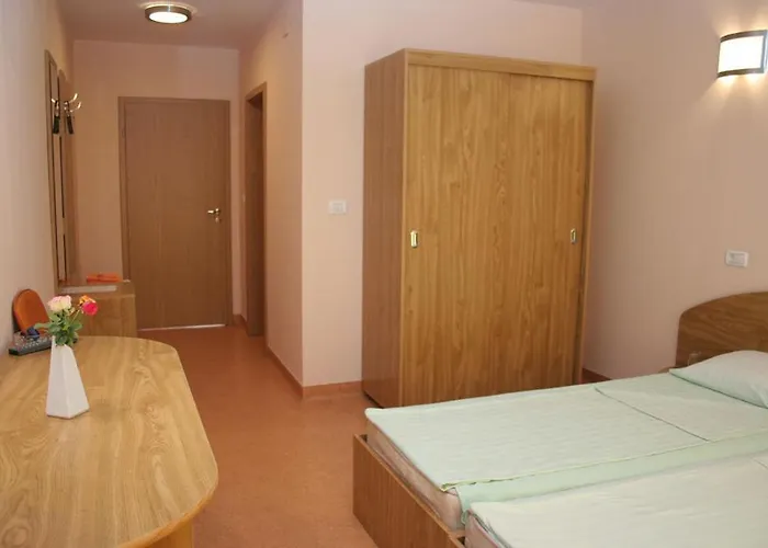 Andronic טימישוארה