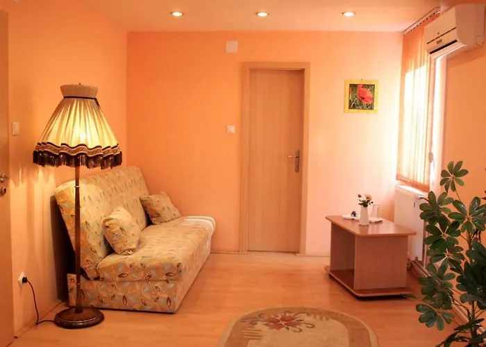 Andronic 3* טימישוארה