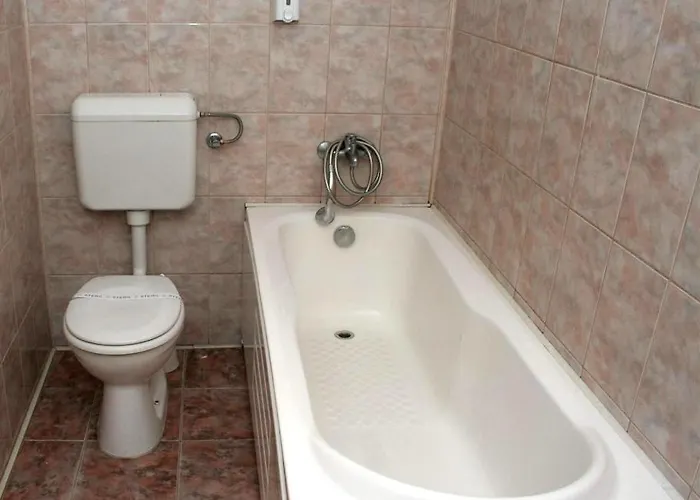 Andronic בית הארחה