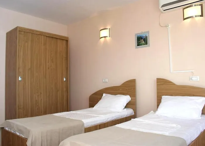 Andronic טימישוארה