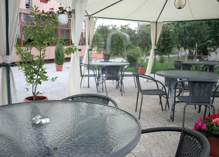 Andronic טימישוארה